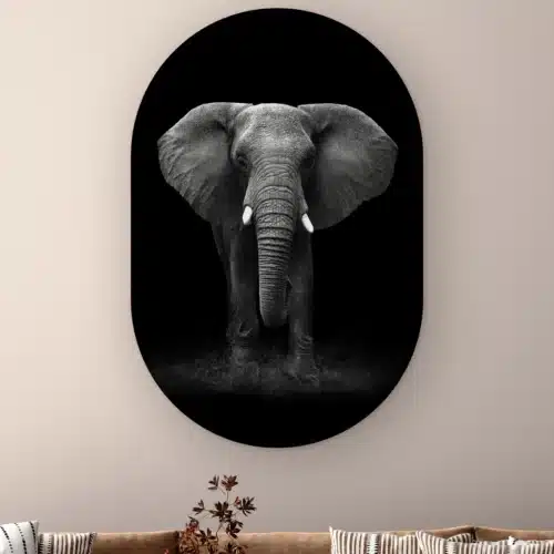 Muurovaal Olifant portret aan de muur boven een bank met gestreepte kussens