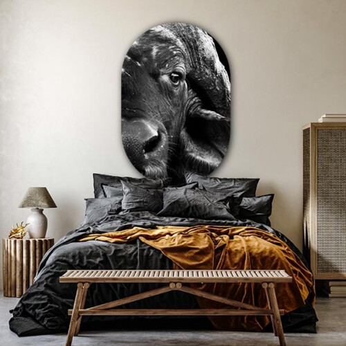 Ovalen wanddecoratie slaapkamer buffel