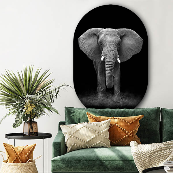 Trendy wandovaal portret olifant