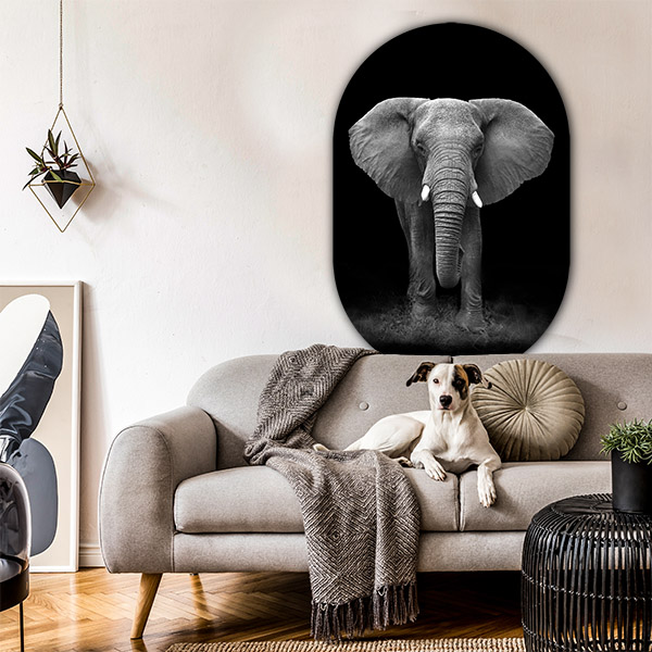 Mooie wanddecoratie muurovaal olifant