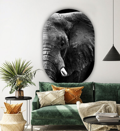 Muurovaal olifant in de woonkamer