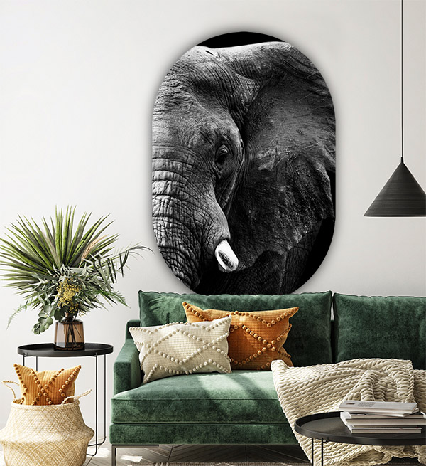 Muurovaal olifant in de woonkamer