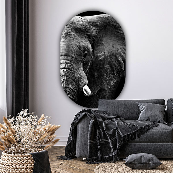 Wandovaal Elephant woonkamer
