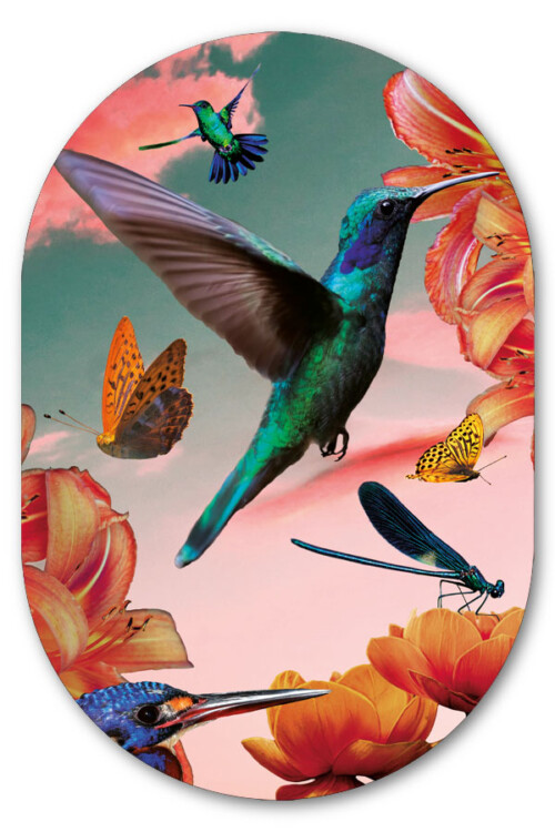 Muurovaal hummingbirds with flowers