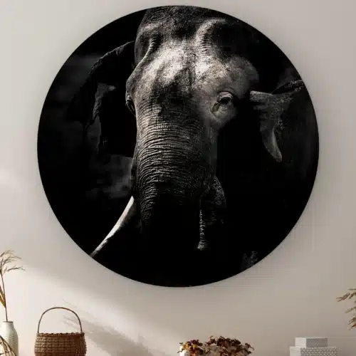 Muurcirkel Olifant aan de muur boven een kast met een rieten mandje