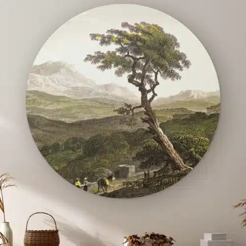 Muurcirkel Siciliaanse boom aan de muur boven een kast met een rieten mandje