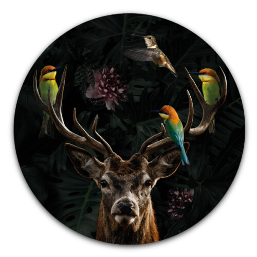 Muurcirkel Deer with Birds
