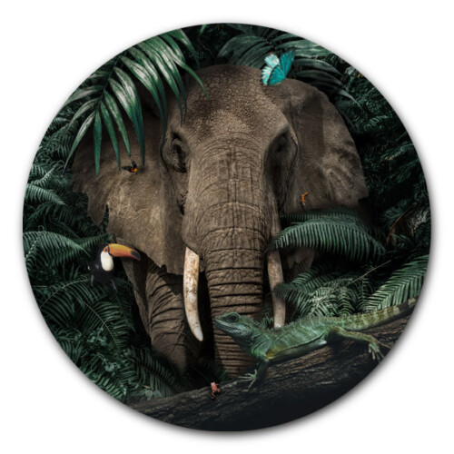 Muurcirkel Jungle Elephant