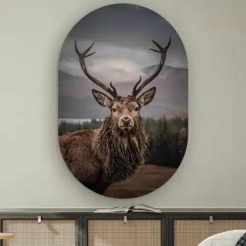 Muurovaal Edelhert aan de muur boven een dressoir met rotan deurtjes