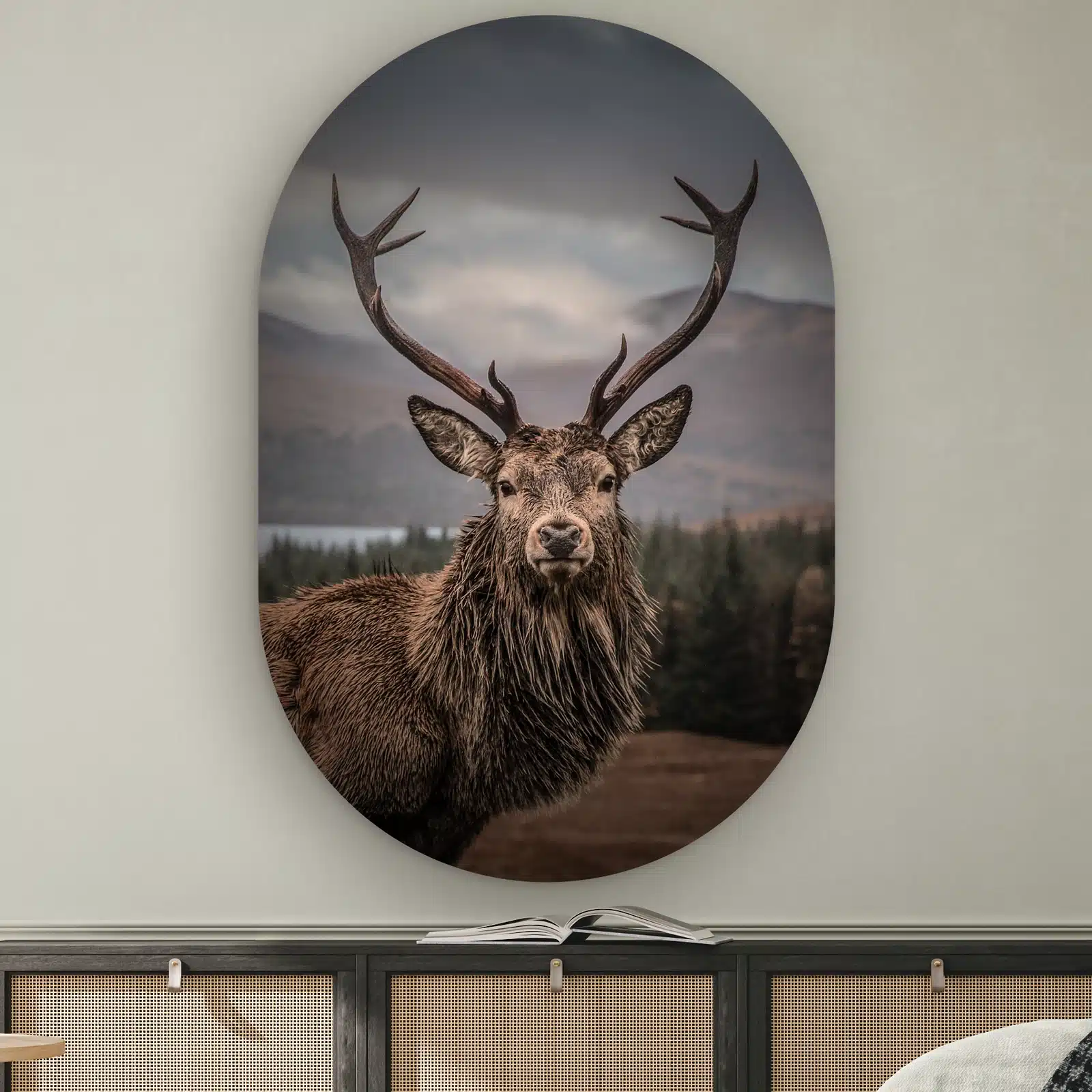 Muurovaal Edelhert aan de muur boven een dressoir met rotan deurtjes