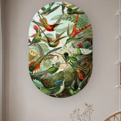 Muurovaal Kolibries van Ernst Haeckel aan de muur in een lichte kamer met droogbloemen