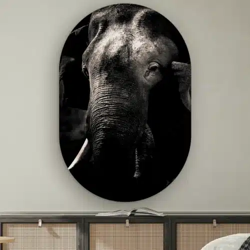 Muurovaal Olifant aan de muur boven een dressoir met rotan deurtjes
