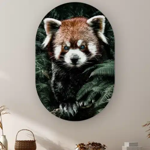 Muurovaal Rode panda aan de muur boven een kast met een rieten mandje