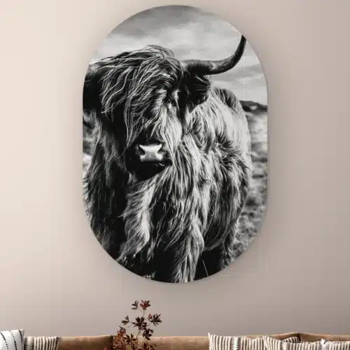 Muurovaal Schotse hooglander zwart wit aan de muur boven een bank met gestreepte kussens