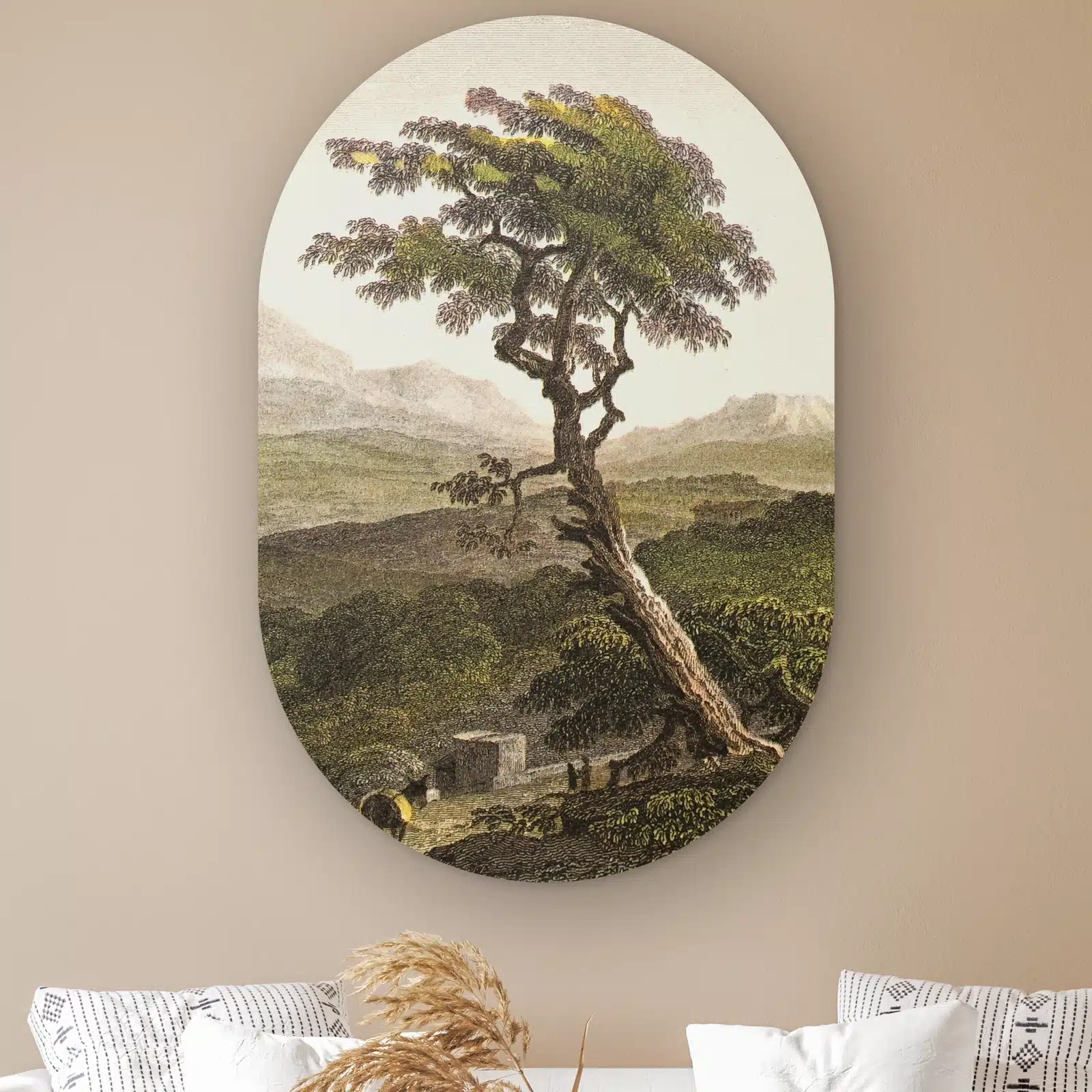 Muurovaal Siciliaanse boom aan de muur boven een witte bank met kussens