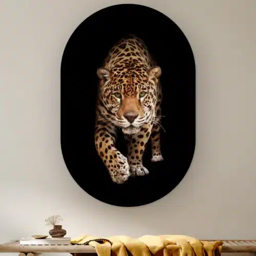 Muurovaal Wilde panter aan de muur boven een houten bank met een okergele plaid