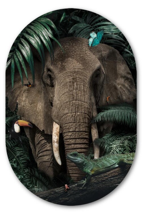 Muurovaal Jungle Elephant