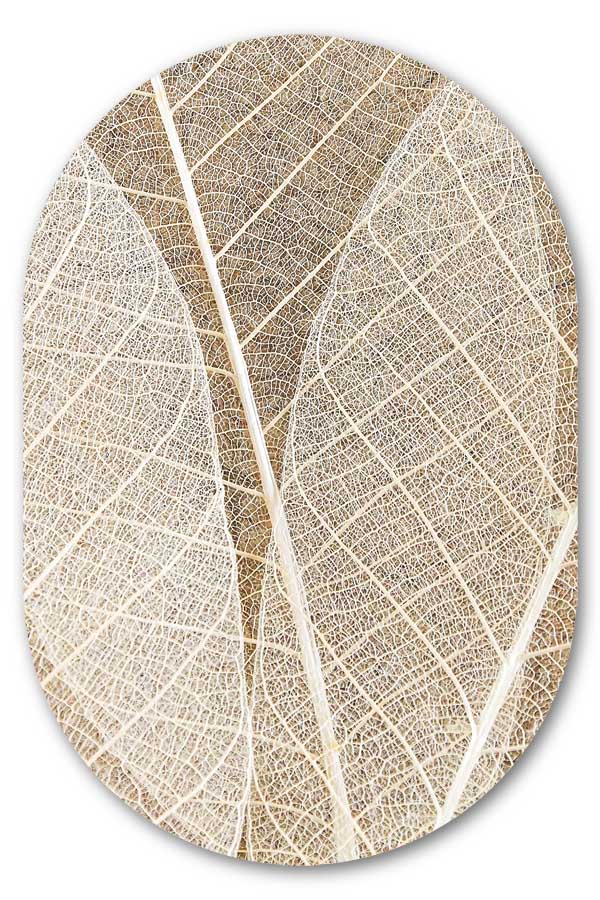 Muurovaal Leaf Texture