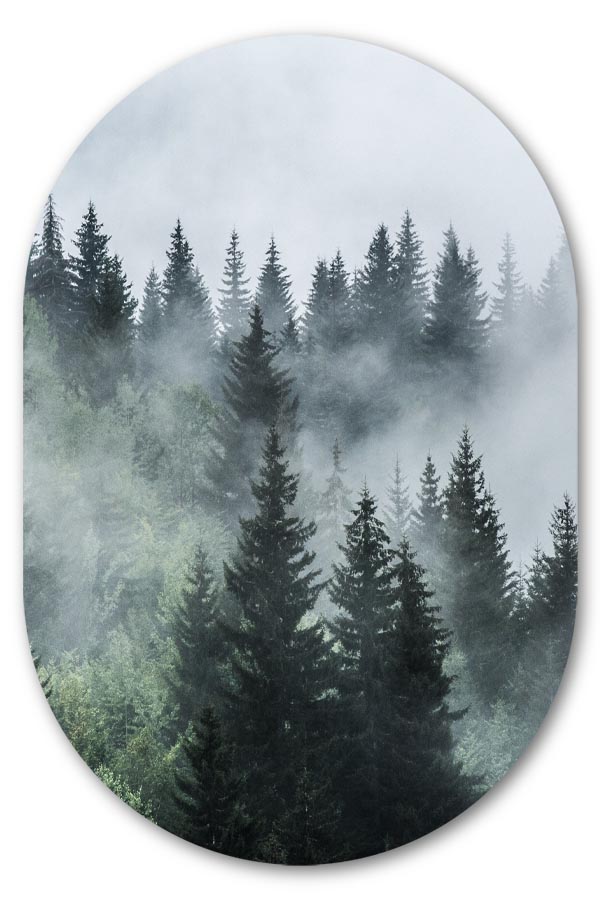 Muurovaal Misty Forest