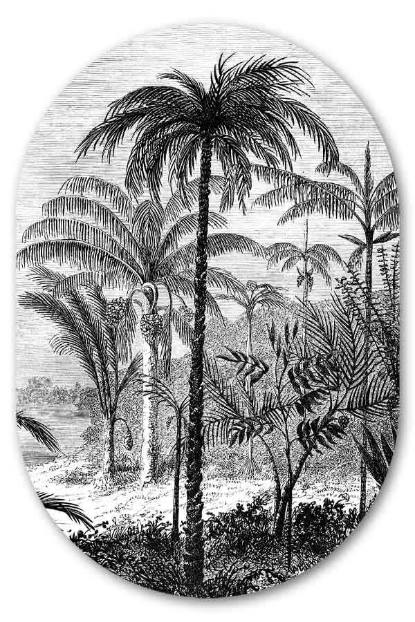 Muurovaal Palm Jungle