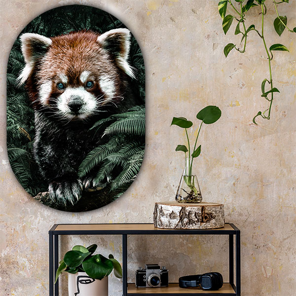 Muurovaal red panda in huis