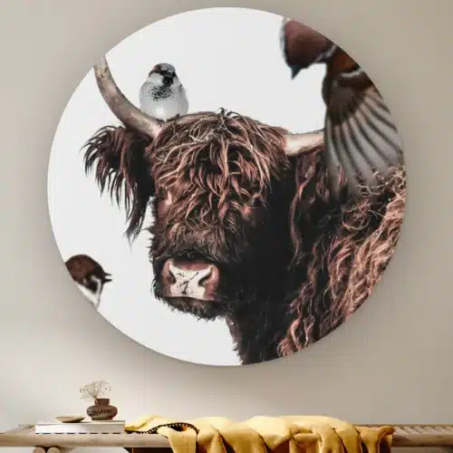 Muurcirkel Hooglander artistiek aan de muur boven een houten bank met een okergele plaid