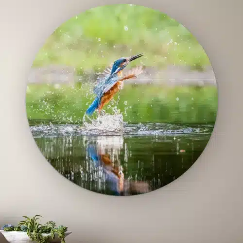 Muurcirkel Duikende ijsvogel aan de muur boven een houten dressoir met planten