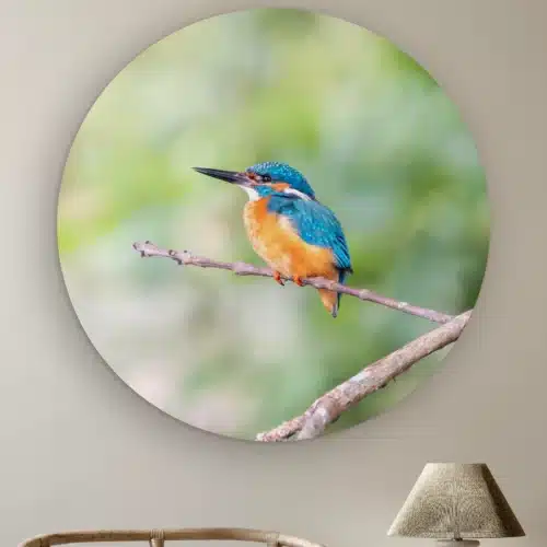 Muurcirkel IJsvogel licht aan de muur boven een rotan stoel en een tafellamp