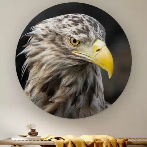 Muurcirkel Zeearend portret schuin aan de muur boven een houten bank met een okergele plaid