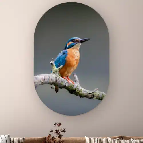 Muurovaal IJsvogel donker aan de muur boven een bank met gestreepte kussens