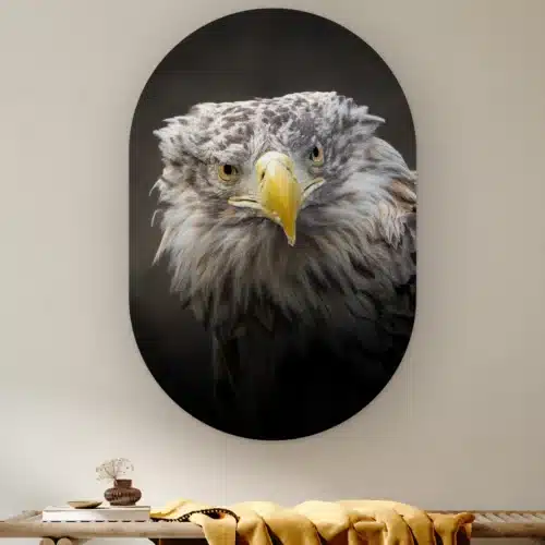 Muurovaal Zeearend portret aan de muur boven een houten bank met een okergele plaid