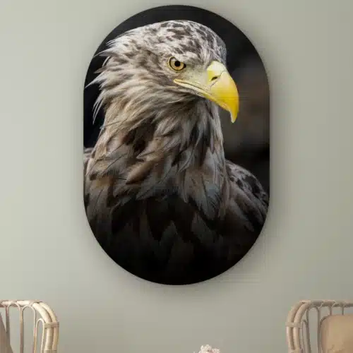 Muurovaal Zeearend portret schuin aan de muur boven twee rotan stoelen