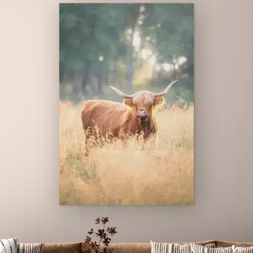 Schotse hooglander zonsondergang aan de muur boven een bank met gestreepte kussens