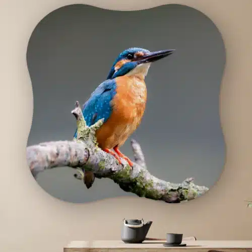 Organische vorm IJsvogel donker aan de muur boven een houten tafel met theepot