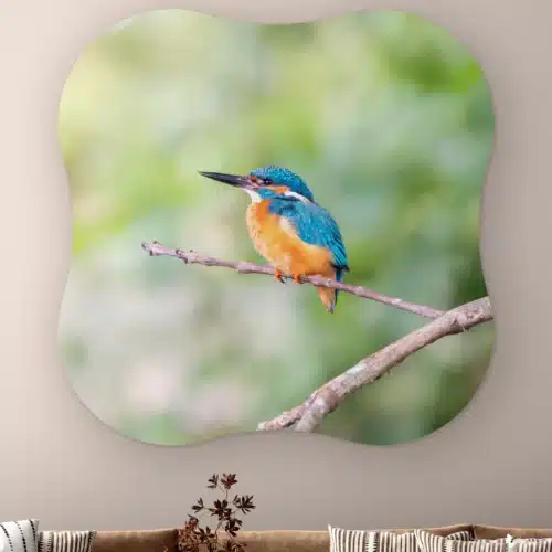 Organische vorm IJsvogel licht aan de muur boven een bank met gestreepte kussens