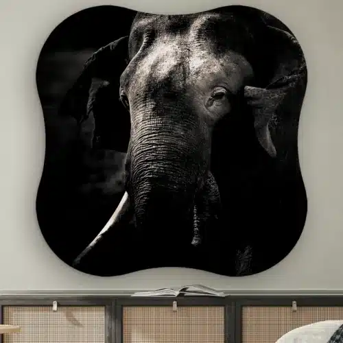 Organische vorm Olifant aan de muur boven een dressoir met rotan deurtjes