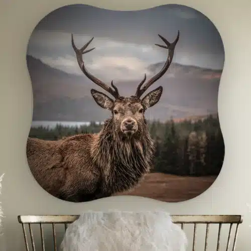 Organische vorm Schots hert aan de muur boven een houten bankje met schapenvacht