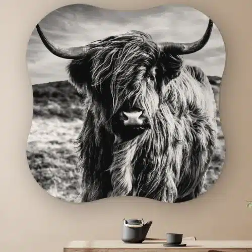 Organische vorm Schotse hooglander zwart wit aan de muur boven een houten tafel met theepot
