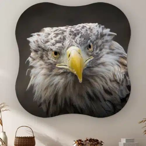 Organische vorm Zeearend portret aan de muur boven een kast met een rieten mandje