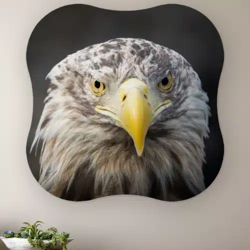 Organische vorm Zeearend portret recht aan de muur boven een houten dressoir met planten