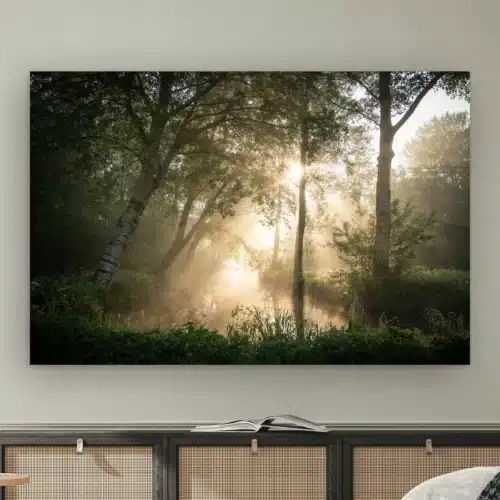 Bomen wanddecoratie: zonnestralen door de ochtendmist tussen berken boven een beekje, als artframe aan de muur