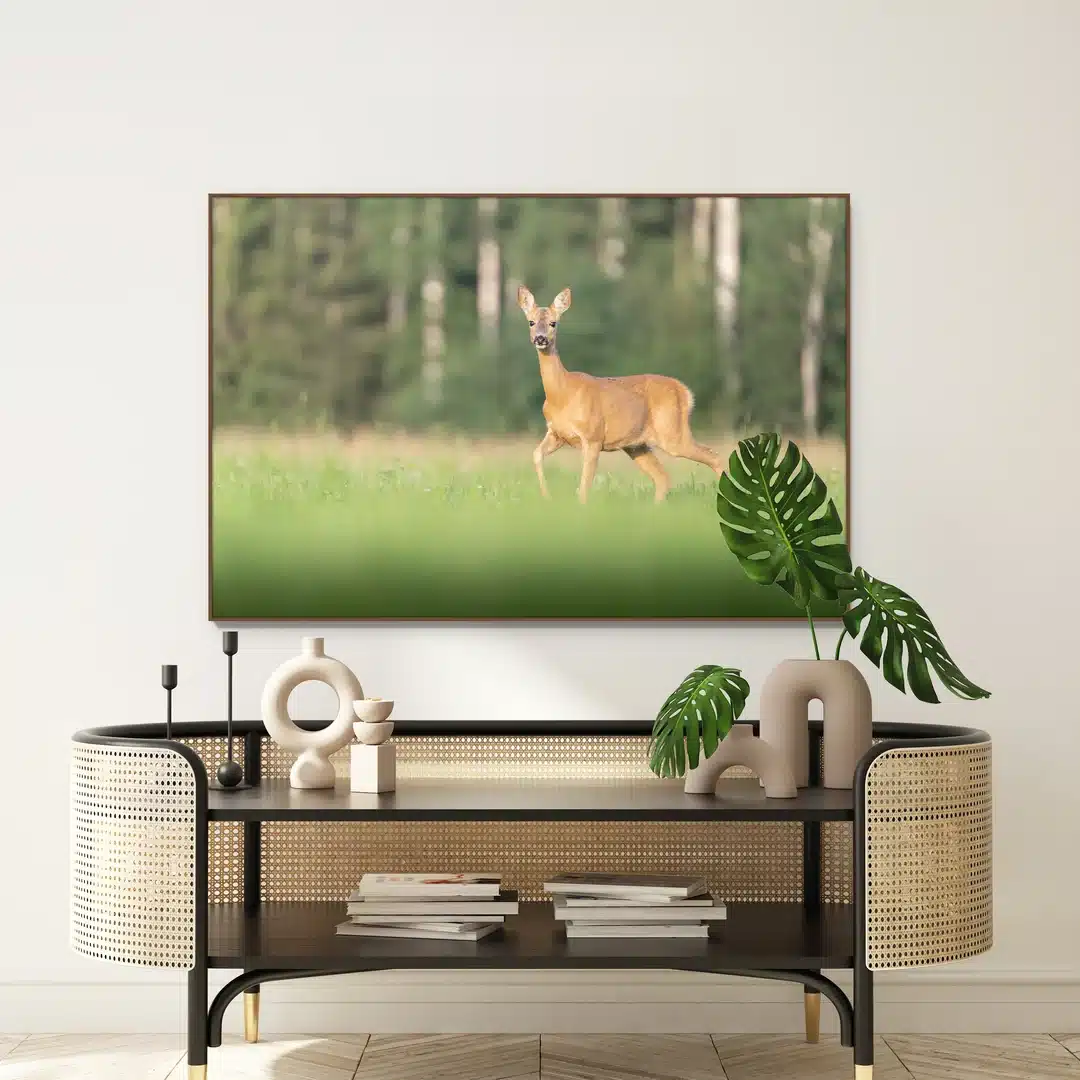 Evolve: Unieke collectie op Artframe