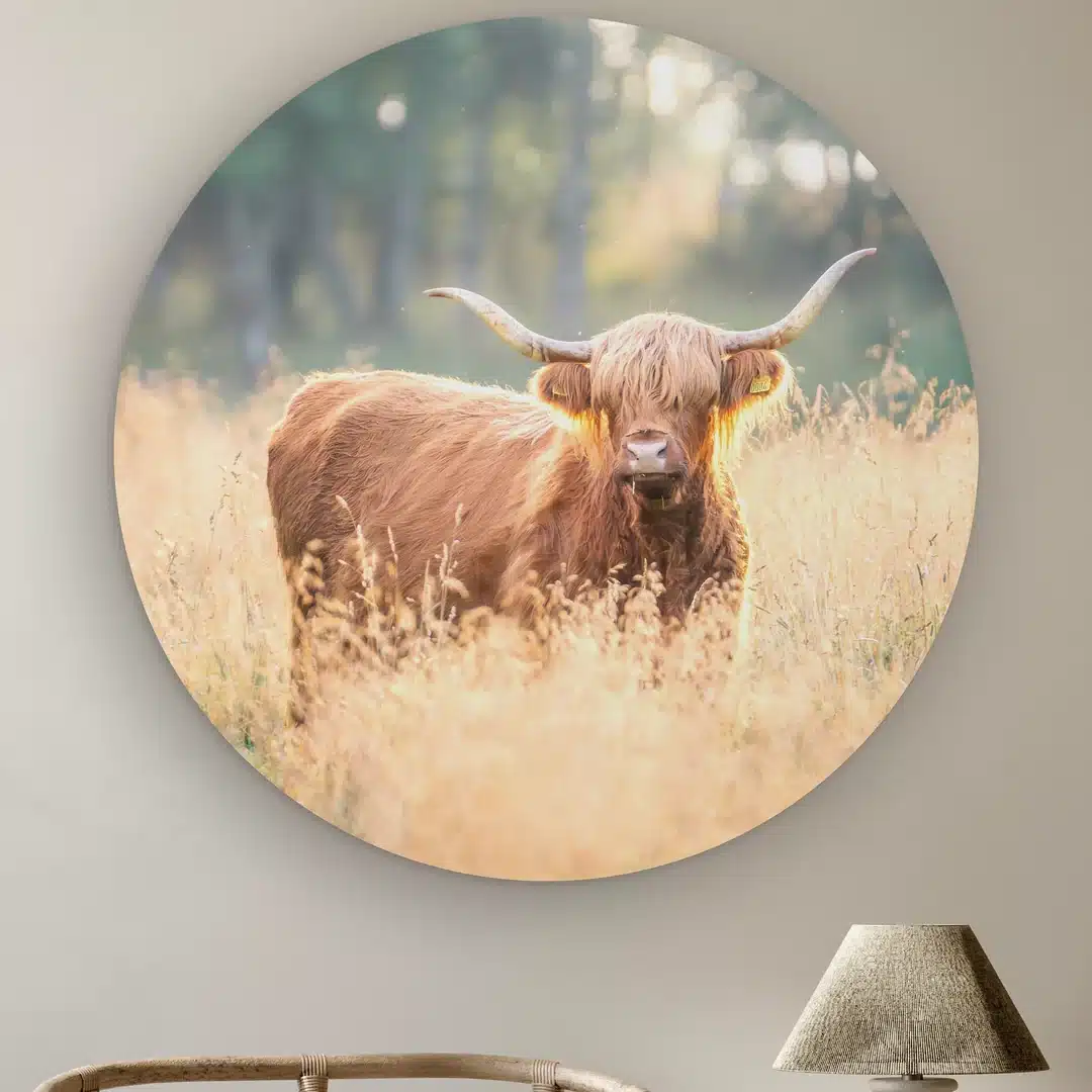 Hooglanders: De bestseller van WallCatcher