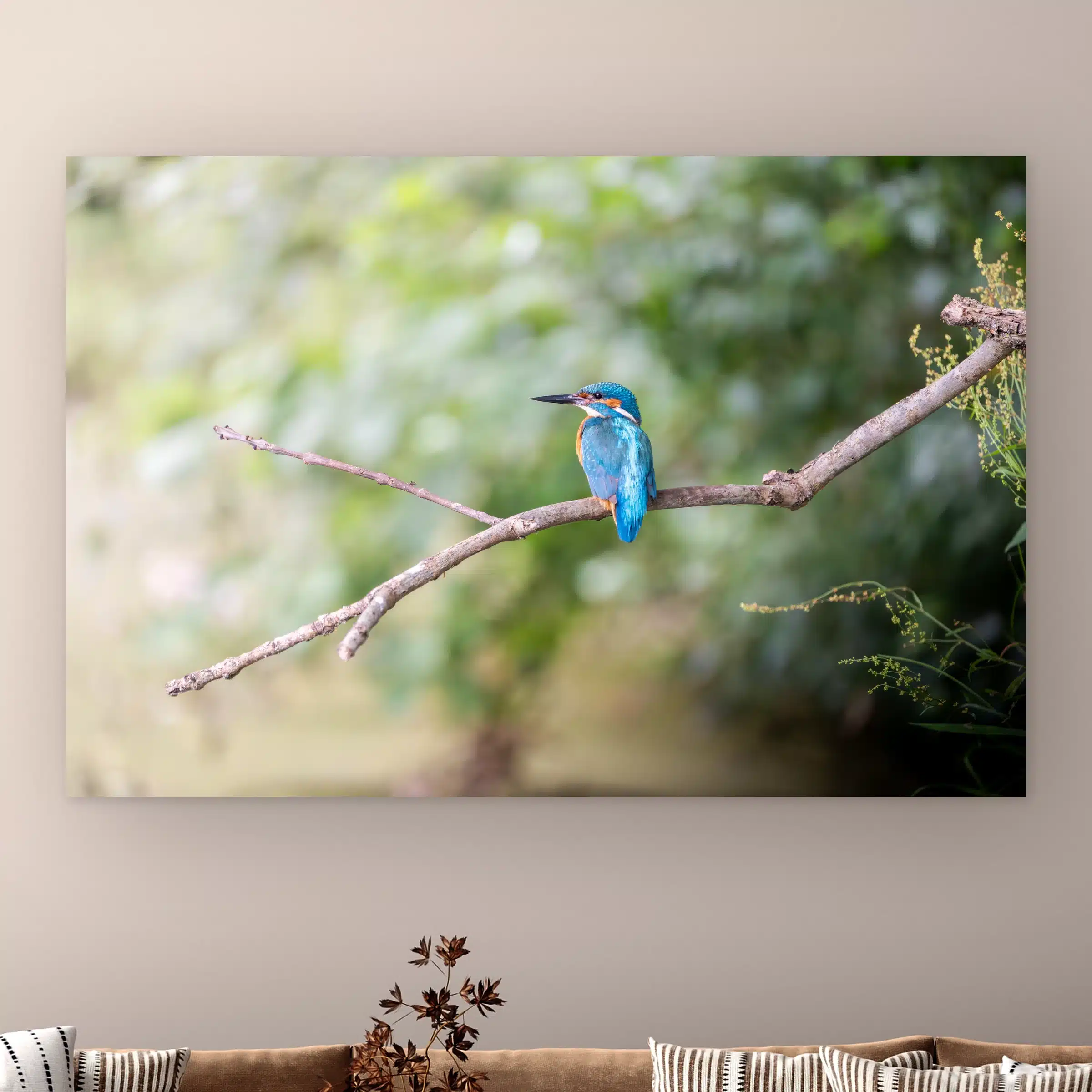IJsvogel wanddecoratie: ijsvogel in turkoois en oranje op een kale tak voor een zachtgroene oever, als artframe aan de muur