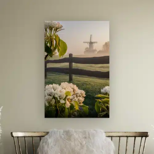 Bloesem wanddecoratie: witte molen in de ochtendmist achter een houten hek met perenbloesem, als artframe aan de muur