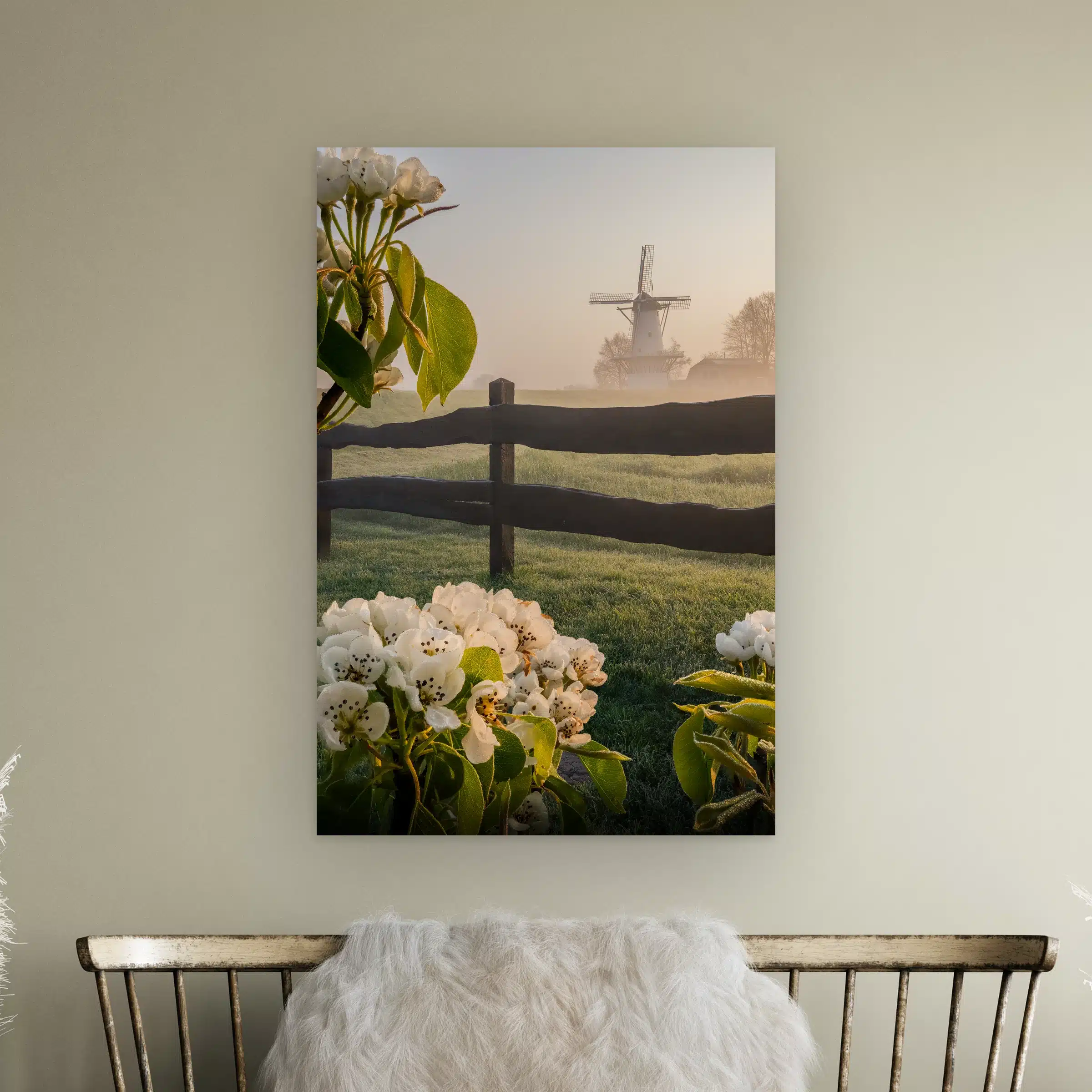 Bloesem wanddecoratie: witte molen in de ochtendmist achter een houten hek met perenbloesem, als artframe aan de muur