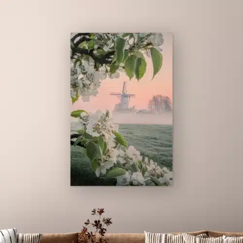 Lente wanddecoratie: witte molen in de ochtendmist achter takken witte perenbloesem en berijpt gras, als artframe