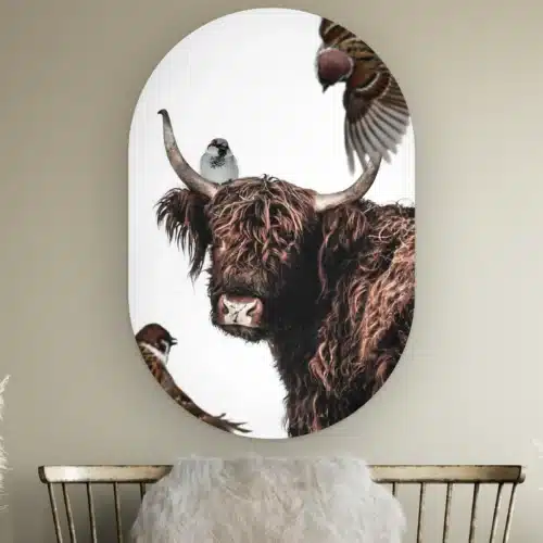 Muurovaal Hooglander artistiek aan de muur boven een houten bankje met schapenvacht