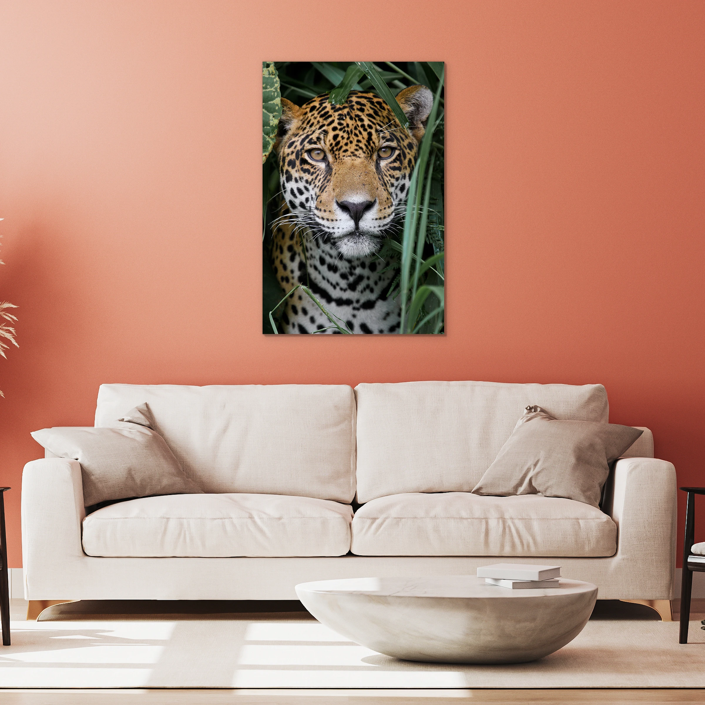 Amazone jaguar aan een koraalrode muur boven een witte bank