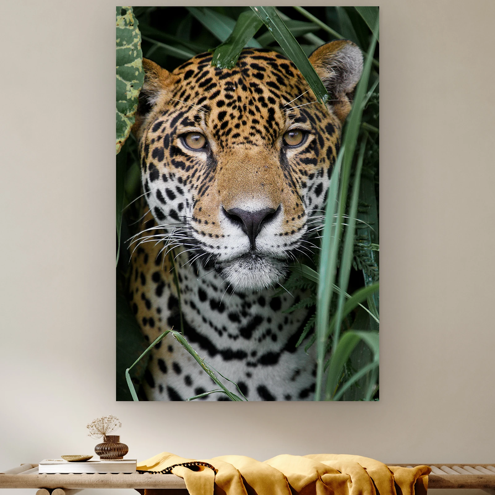 Amazone jaguar aan de muur boven een houten bank met een okergele plaid